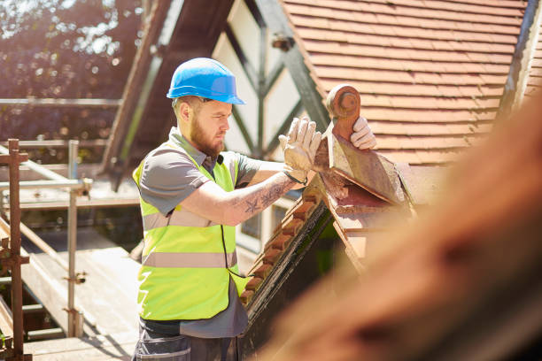 Best Gutter Installation and Roofing  in Roosevelt, NY
